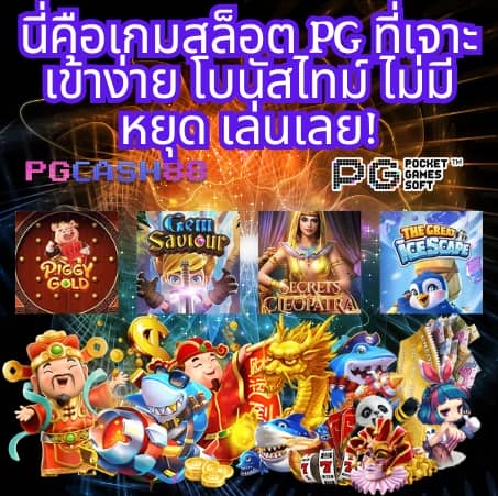 สล็อตxo24